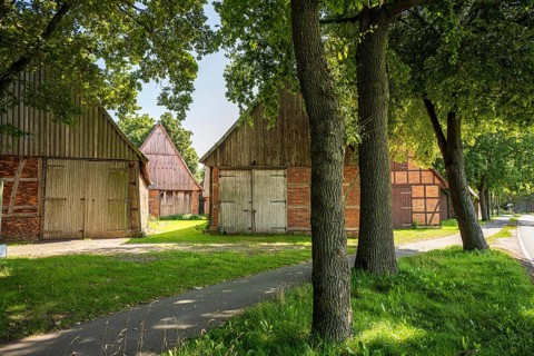 Avenue with old half-timbered houses lined with large trees on a sunny day, Weser cycle path,