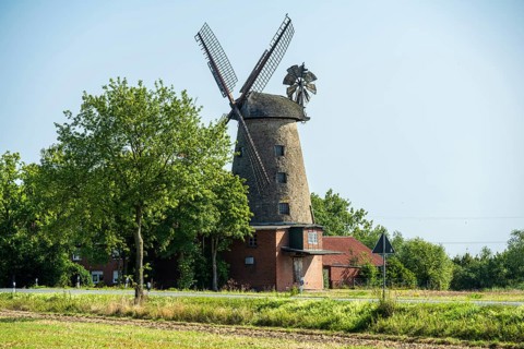 Historic windmill surrounded by trees and meadows under a clear blue sky, mill on the Weser cycle