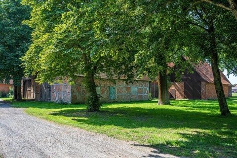 Half-timbered house on a gravelled path, surrounded by green trees and meadows, Weser cycle path,