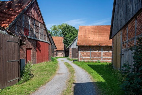 Rural path between farmsteads with red roofs and half-timbered façades, framed by summer greenery,