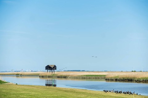 A tranquil landscape with a hut on stilts by the water and ducks in the foreground under a blue