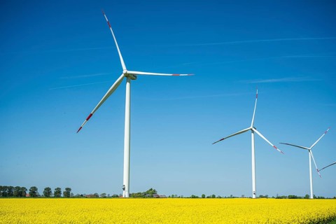 Large wind turbines stand in a rapeseed field under a cloudless blue sky, wind turbines in a