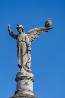 Angel figure with dove, Recoleta cemetery, Buenos Aires, capital of Argentina