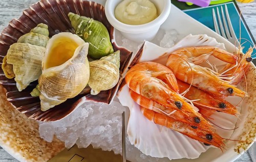 Fresh seafood aperitif platter on ice, featuring large, cooked shrimp and a variety of sea snails