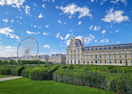 The Tuileries Garden with view to the Grande Roue in Paris, France. The famous Ferris wheel is