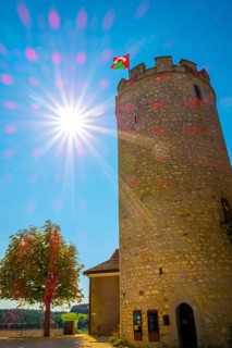 Medieval Old City Square with Castle Tower and a Tree with Sunbeam and Lens Flare in a Sunny Summer