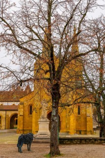 Beautiful Cathedral Collégiale de Neuchatel and Bare Tree with Sky in City of Neuchatel, Canton