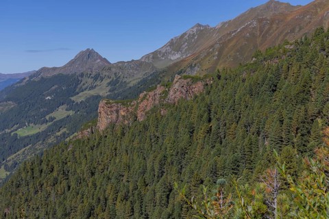 Landscape panorama, Mountain forest, Mountain pines, Autumnal, Uttendorf Pinzgau