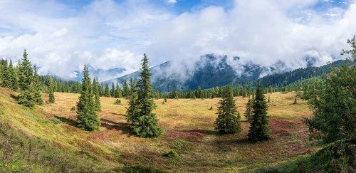 Colourful landscape with fog in autumn, Schladminger Tauern, Schladming, Styria, Austria