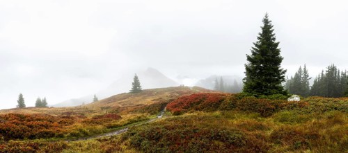 Colourful landscape with fog in autumn, Schladminger Tauern, Schladming, Styria, Austria