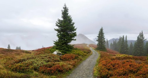 Hiking trail through colourful landscape with fog in autumn, Schladminger Tauern, Schladming,