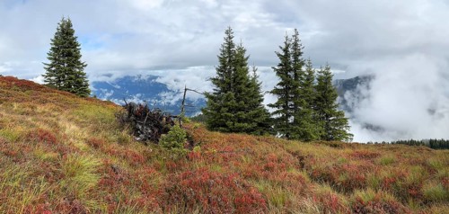 Colourful landscape with fog in autumn, Schladminger Tauern, Schladming, Styria, Austria