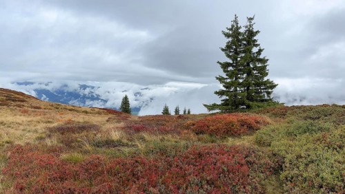 Colourful landscape with fog in autumn, Schladminger Tauern, Schladming, Styria, Austria
