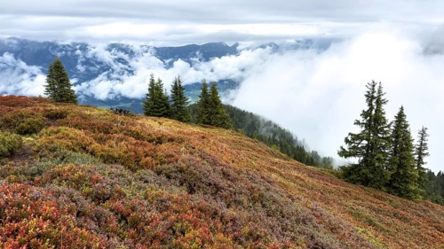 Colourful landscape with fog in autumn, Schladminger Tauern, Schladming, Styria, Austria