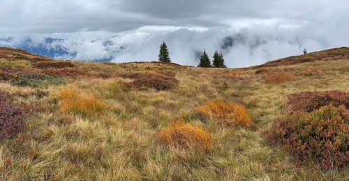 Colourful landscape with fog in autumn, Schladminger Tauern, Schladming, Styria, Austria