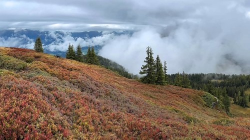 Colourful landscape with fog in autumn, Schladminger Tauern, Schladming, Styria, Austria