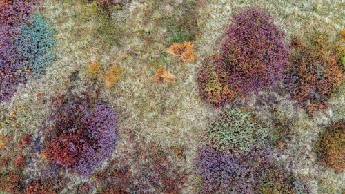 Colourful landscape in autumn, aerial view, Schladminger Tauern, Schladming, Styria, Austria
