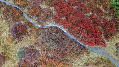 Hiking trail through colourful landscape in autumn, aerial view, Schladminger Tauern, Schladming,