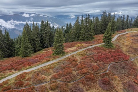 Hiking trail through colourful landscape in autumn, aerial view, Schladminger Tauern, Schladming,