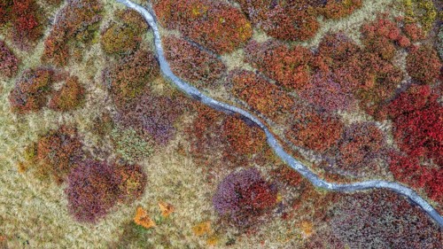 Hiking trail through colourful landscape in autumn, aerial view, Schladminger Tauern, Schladming,