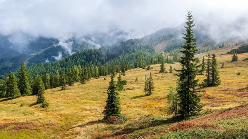 Colourful landscape with fog in autumn, Schladminger Tauern, Schladming, Styria, Austria