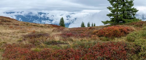 Colourful landscape with fog in autumn, Schladminger Tauern, Schladming, Styria, Austria
