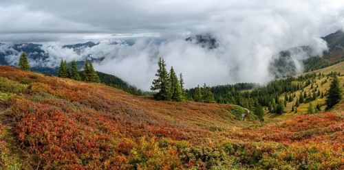 Colourful landscape with fog in autumn, Schladminger Tauern, Schladming, Styria, Austria