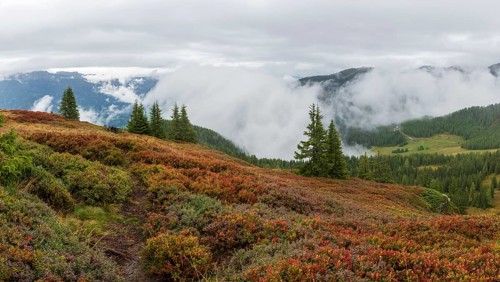 Colourful landscape with fog in autumn, Schladminger Tauern, Schladming, Styria, Austria