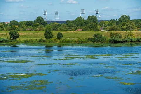 River with algae in the foreground, surrounded by trees and grass under a blue sky. A stadium can