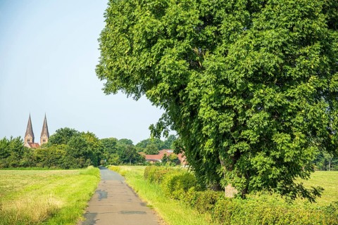 Rural scene with a path along a large tree, next to fields and a village in the background, Ev.