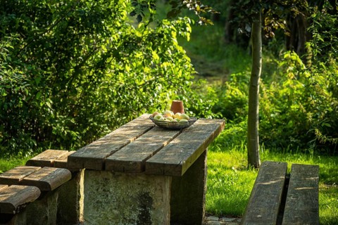A garden table with fruit bowl and wooden bench, surrounded by green foliage in the sunlight,