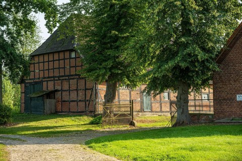 Half-timbered house in a rural setting with trees and green lawn in the sunlight, Bücken, Nienburg