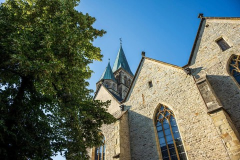 Gothic church with high towers and brick façade under a blue sky next to a large tree, St