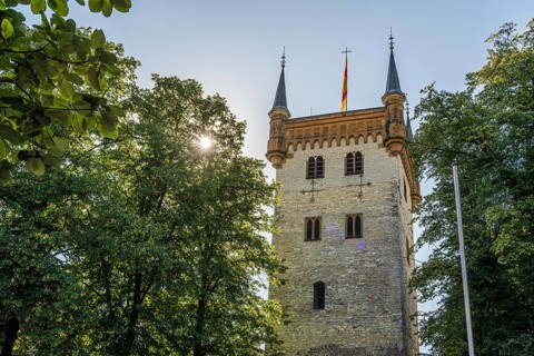 Historic tower with straight trees below, sunshine shining through, tower of the old St Mary's