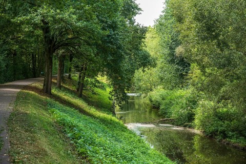 Quiet forest path along a river with densely overgrown trees in summer, Senden, Münsterland, North