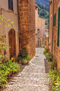 Idyllic old cobblestone alley with green plants at the house wall in a residential area a sunny