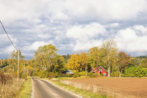 Gravel road to a farmhouse in a grove of trees in the countryside with beautiful autumn colors on