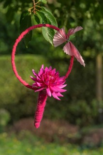 Pink dahlia in a ring with butterfly, hanging in a tree, North Rhine-Westphalia, Germany