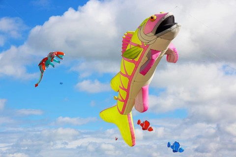 Kite Festival, International Kite Festival, Dieppe, Normandy, France