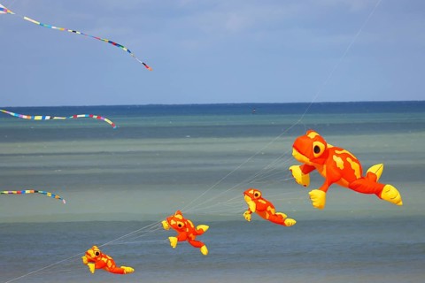 Kite festival on the beach, international kite festival, kites in the shape of frogs, Dieppe,