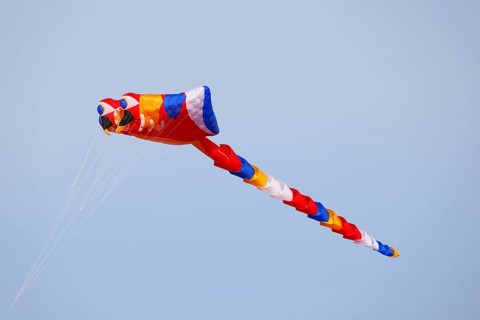 Kite Festival, International Kite Festival, Dieppe, Normandy, France