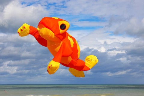 Kite festival on the beach, international kite festival, kite in the shape of a frog, Dieppe,