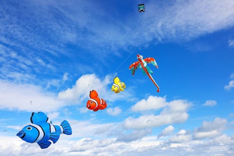 Kite Festival, International Kite Festival, Dieppe, Normandy, France