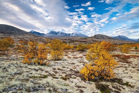 Autumn landscape in Rondane National Park, mountains, Døråldalen, Norway