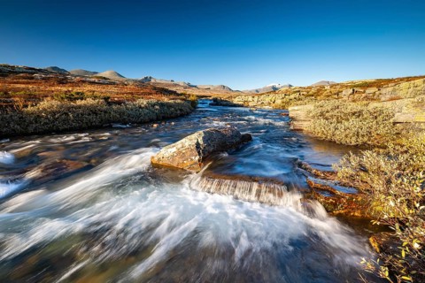River Store Ula in the autumnal Rondane National Park, Norway