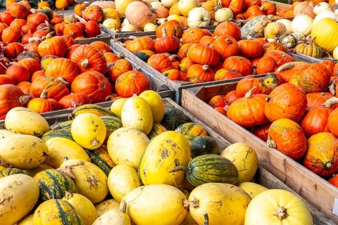 Various pumpkins, at a farm market, in autumn