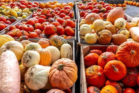 Various pumpkins, at a farm market, in autumn