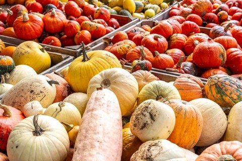 Various pumpkins, at a farm market, in autumn