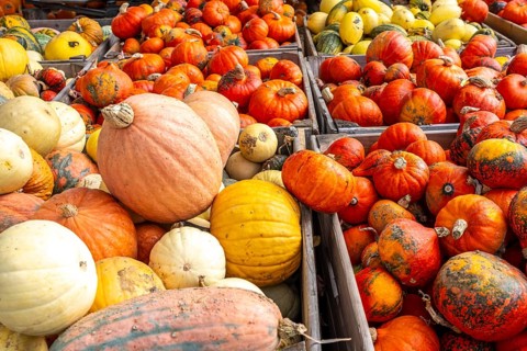 Various pumpkins, at a farm market, in autumn