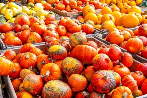Various pumpkins, at a farm market, in autumn